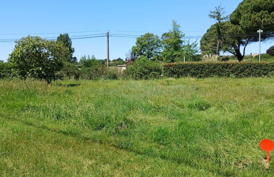 offre terrain maison TMSH0156866397F231