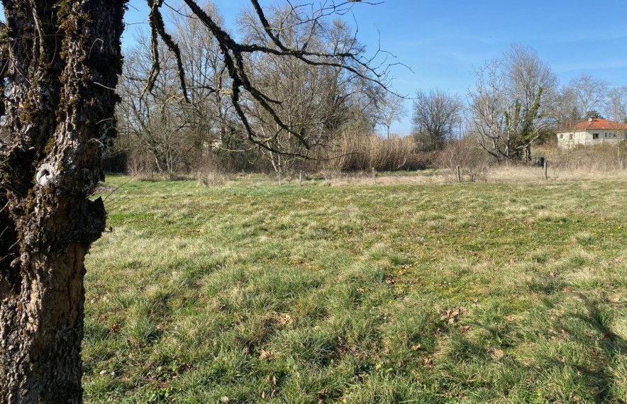 offre terrain maison TMPB015681DECB8E2A