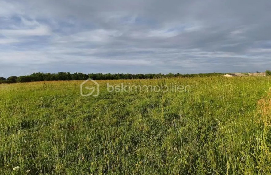 offre terrain maison TMAM015687F6E84FC2