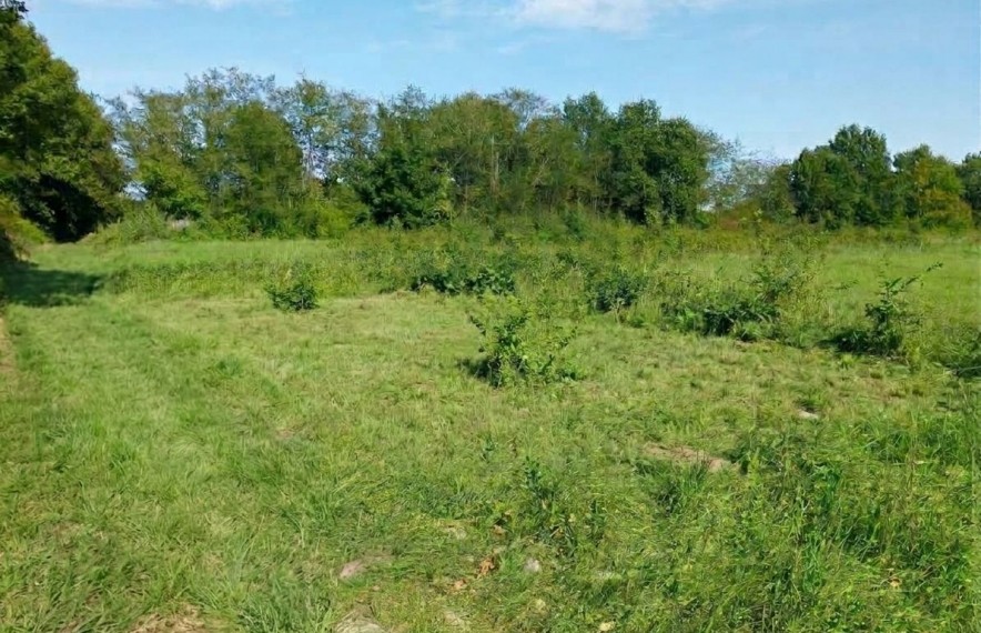 offre terrain maison TMPB0156819F8624AC